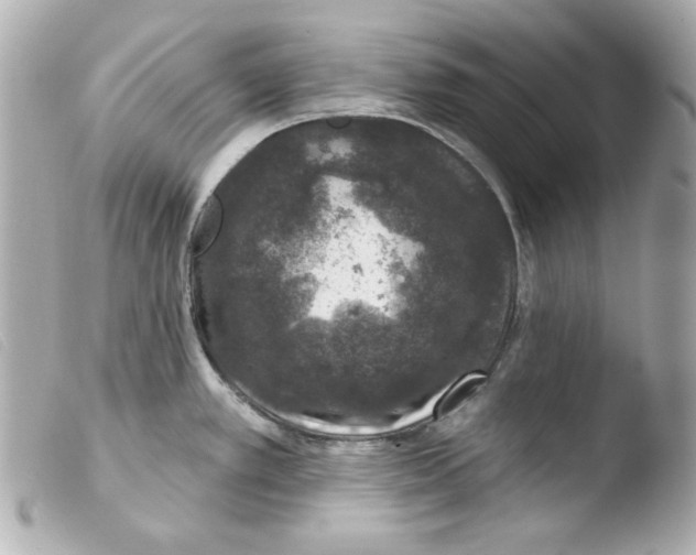 X0000103471389200810100925