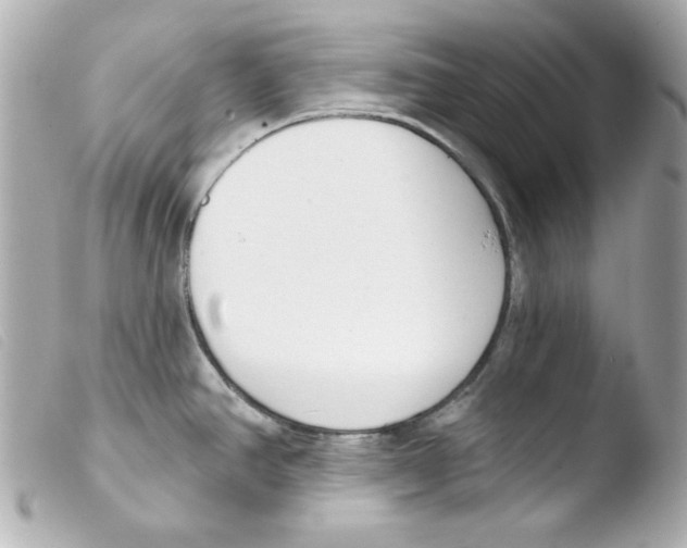 X0000103471390200810100925