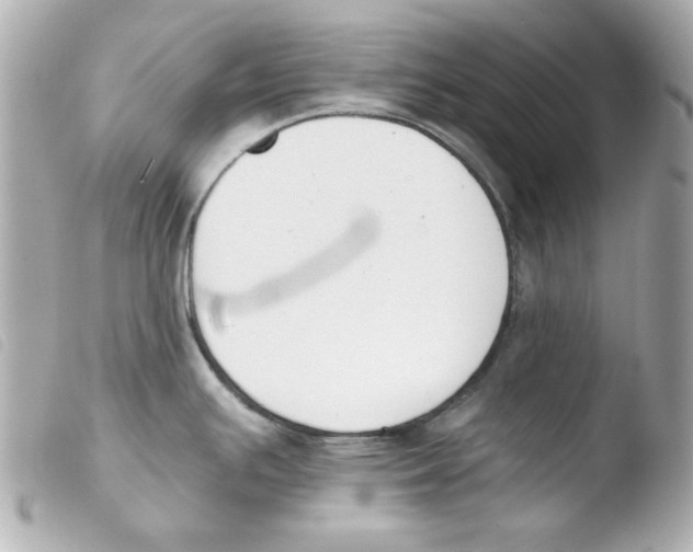 X0000103471391200810100925