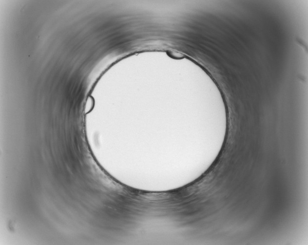 X0000103471392200810100925