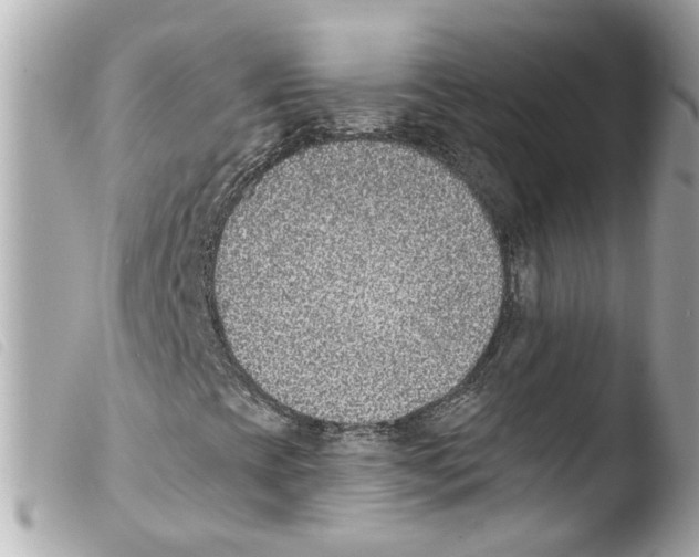 X0000103471393200810100924