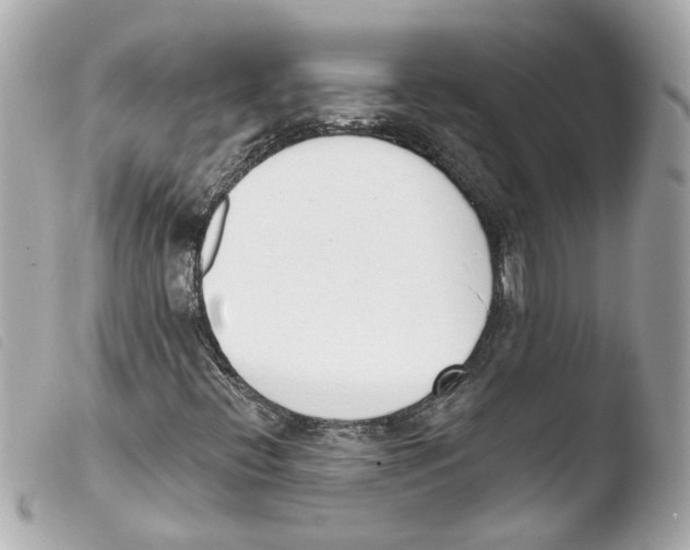 X0000103471396200810100924