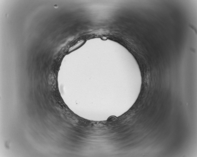 X0000103471398200810100924