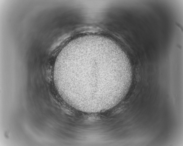 X0000103471399200810100924