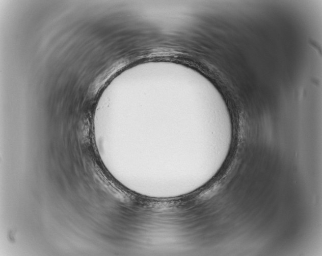 X0000103471401200810100924