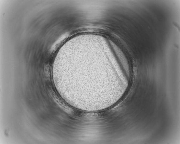 X0000103471403200810100924