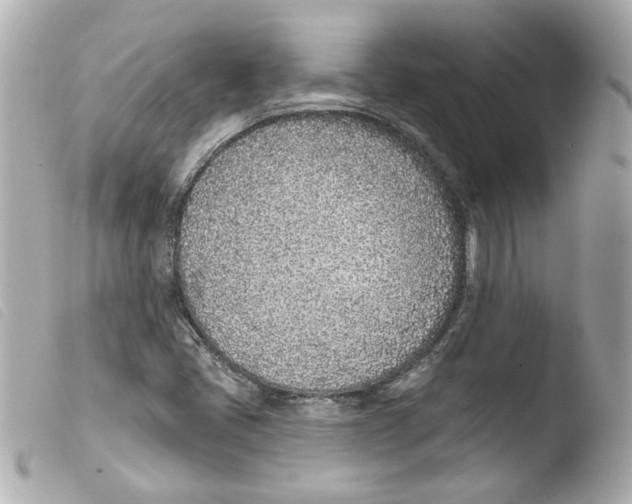 X0000103471405200810100924