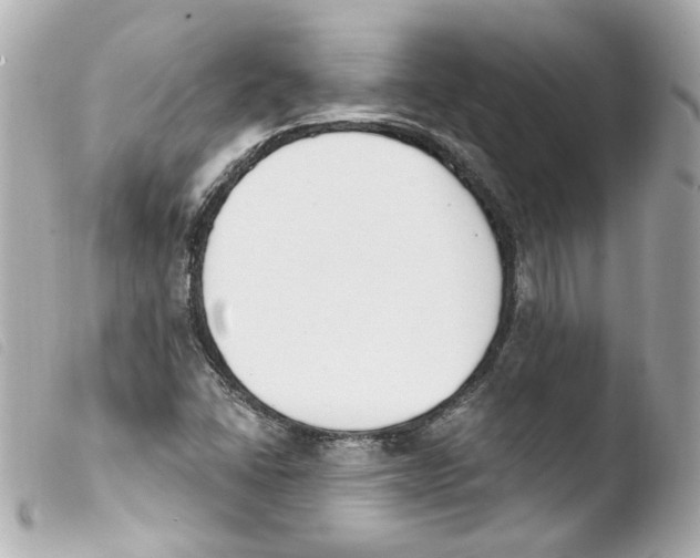 X0000103471406200810100924