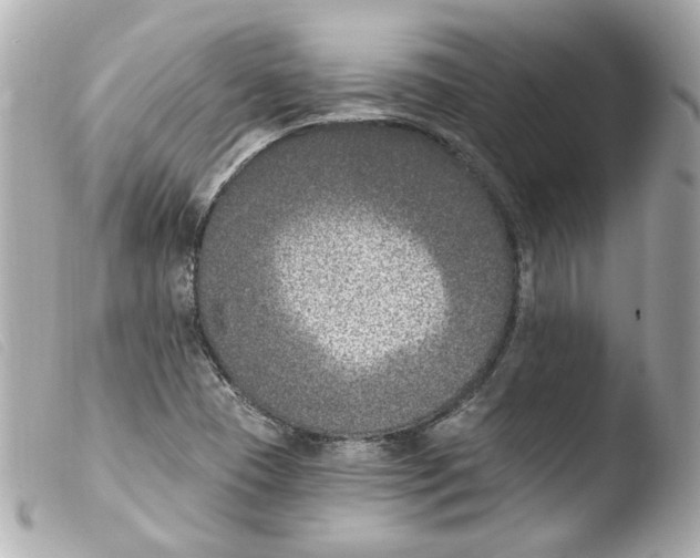 X0000103471409200810100924