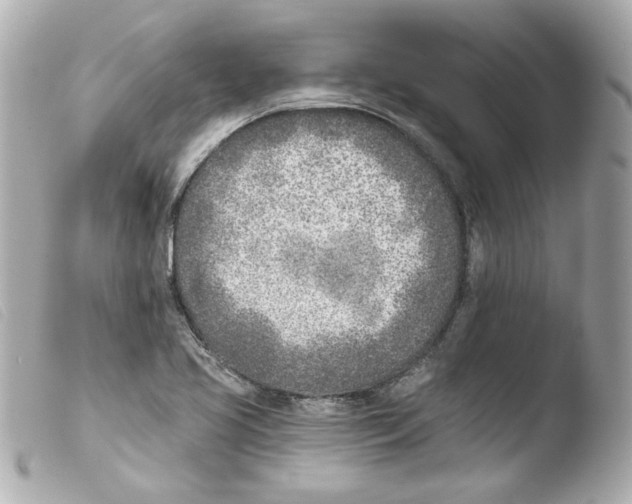 X0000103471413200810100924