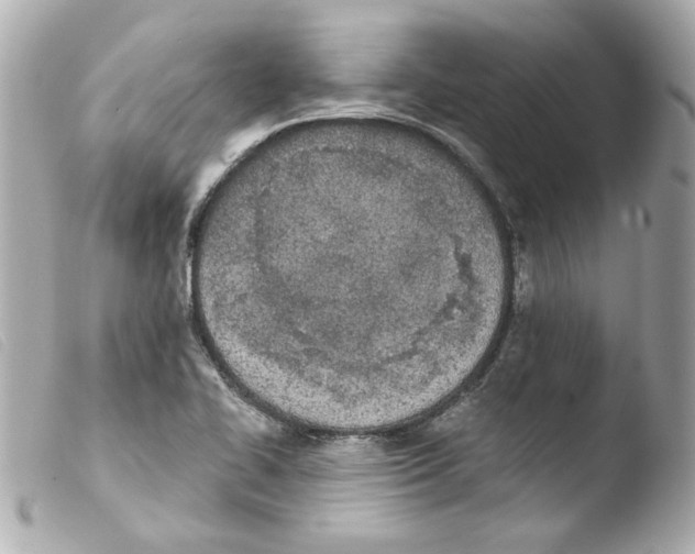 X0000103471414200810100924
