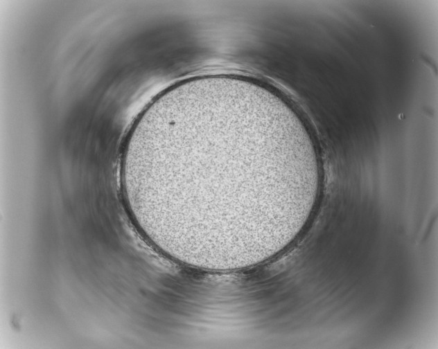 X0000103471415200810100924