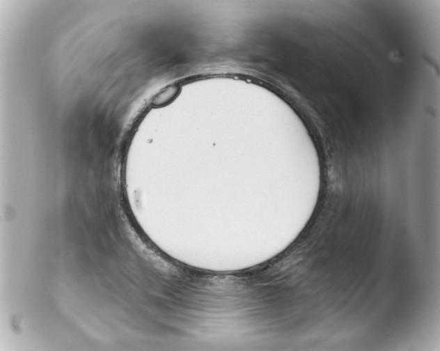 X0000103471416200810100924