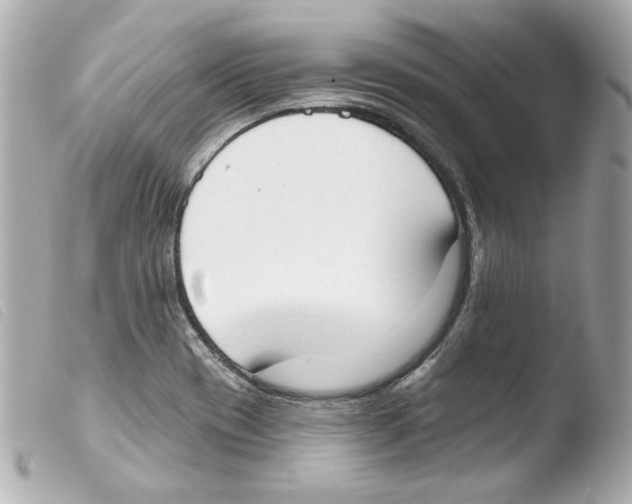 X0000103471417200810100924