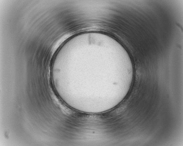 X0000103471418200810100924