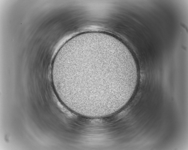 X0000103471421200810100924