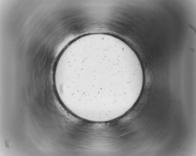 X0000103471422200810100924