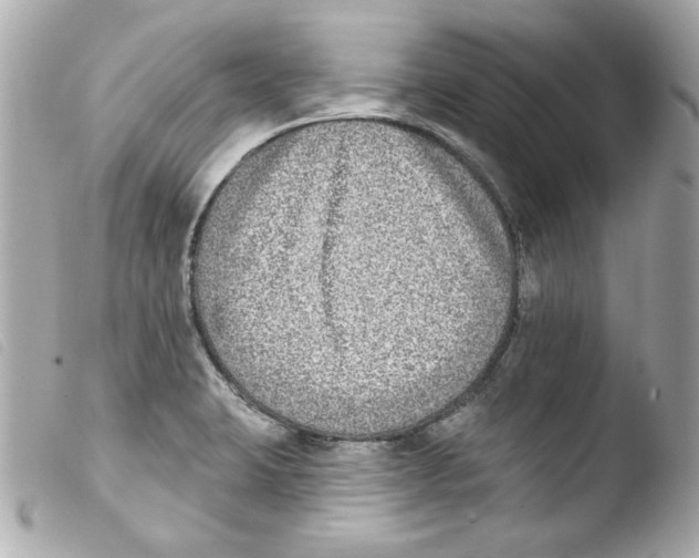 X0000103471423200810100924
