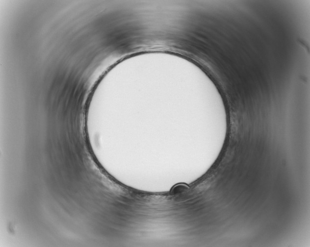 X0000103471424200810100924