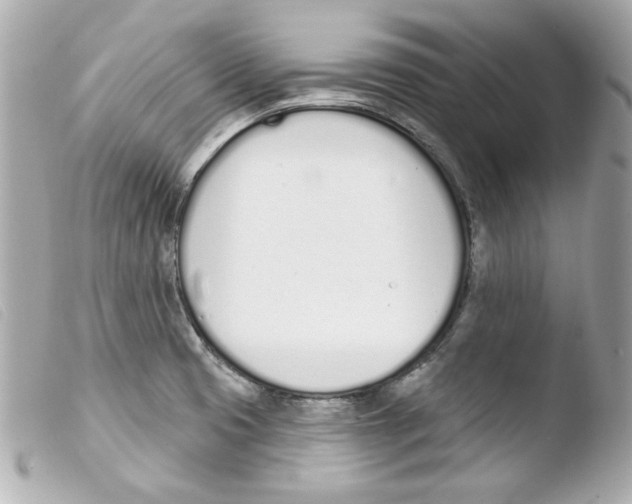 X0000103471425200810100924