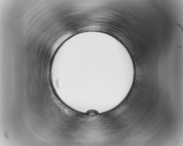 X0000103471426200810100924