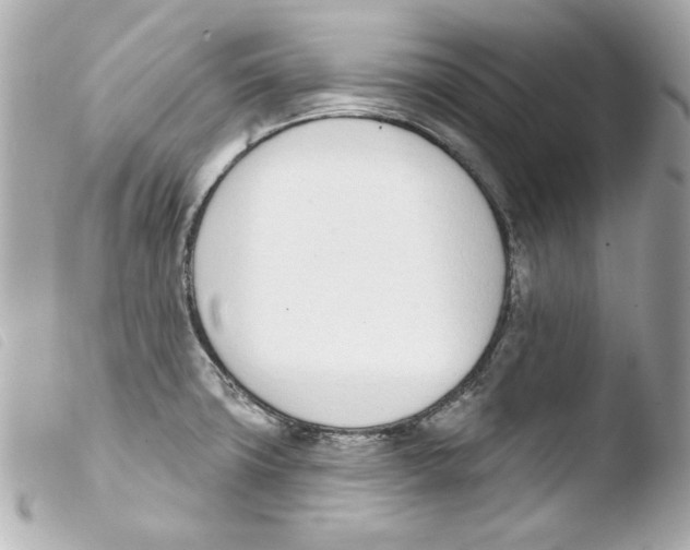 X0000103471427200810100924