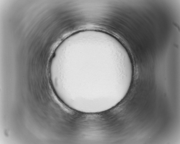 X0000103471429200810100924