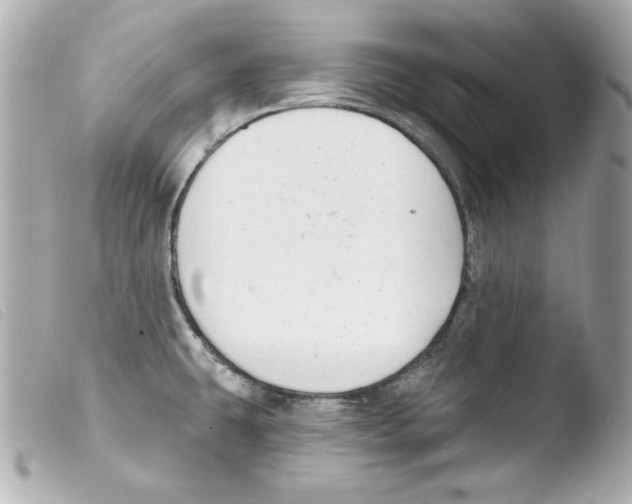 X0000103471431200810100924