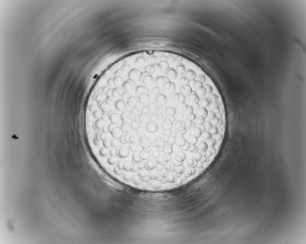 X0000103471432200810100924