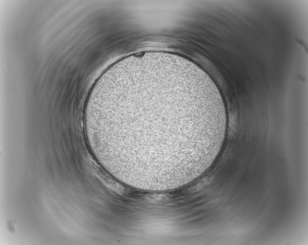 X0000103471435200810100925