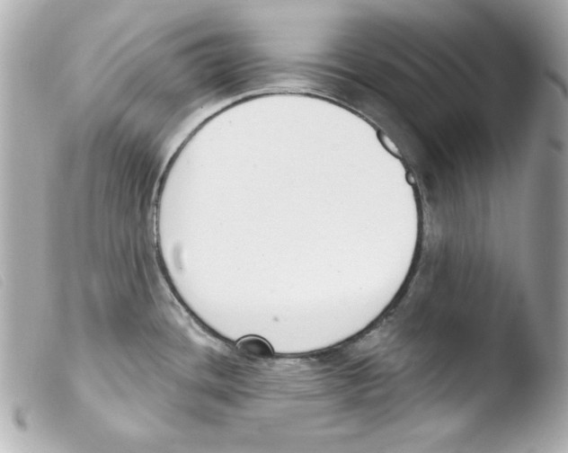 X0000103471436200810100925