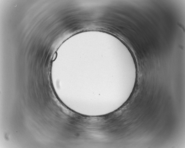 X0000103471437200810100925