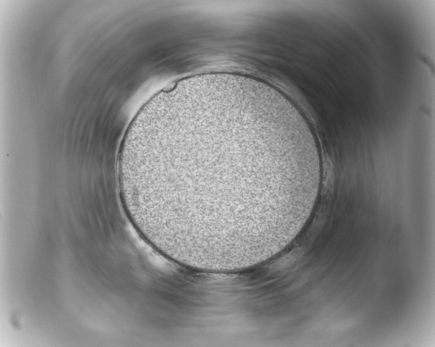 X0000103471439200810100925