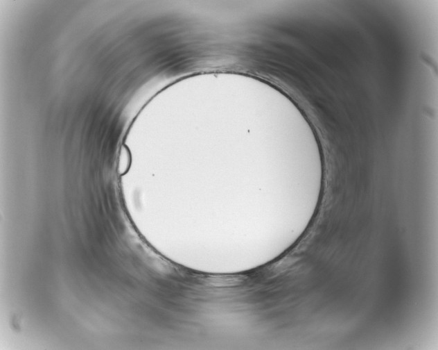 X0000103471440200810100925