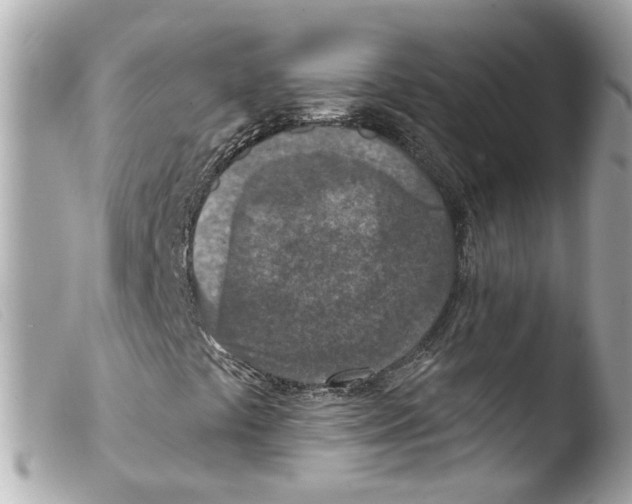 X0000103471441200810100924