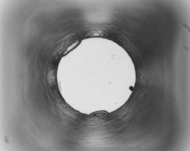 X0000103471442200810100924