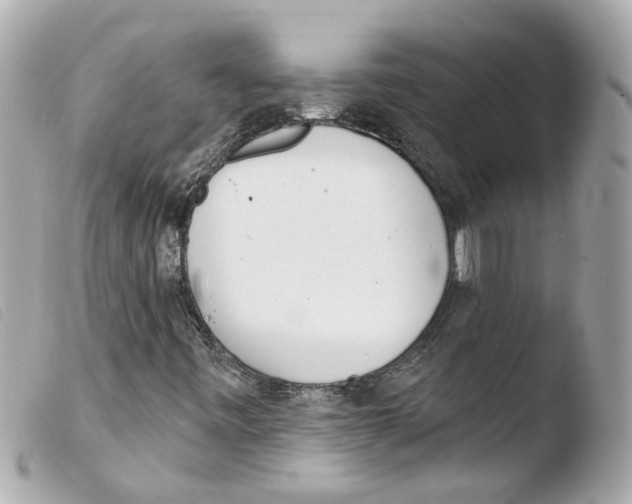 X0000103471443200810100924