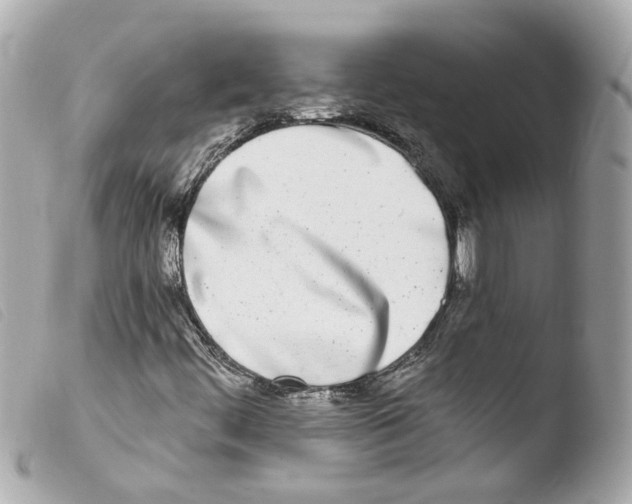 X0000103471444200810100924