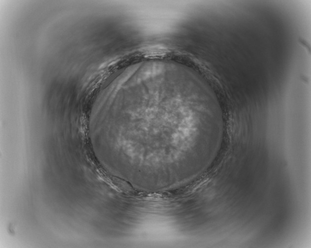 X0000103471445200810100924
