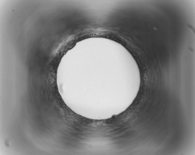 X0000103471447200810100924