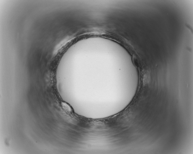 X0000103471448200810100924