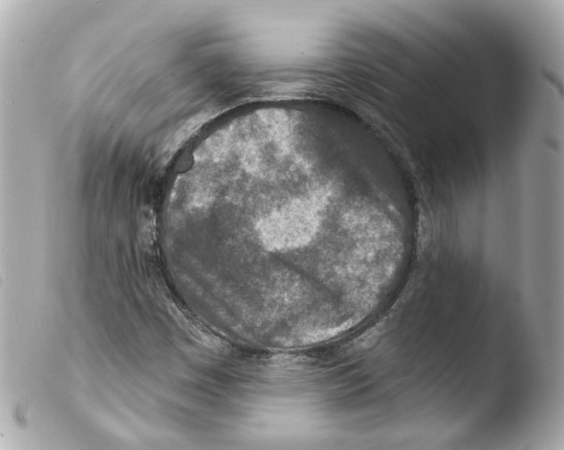 X0000103471449200810100924