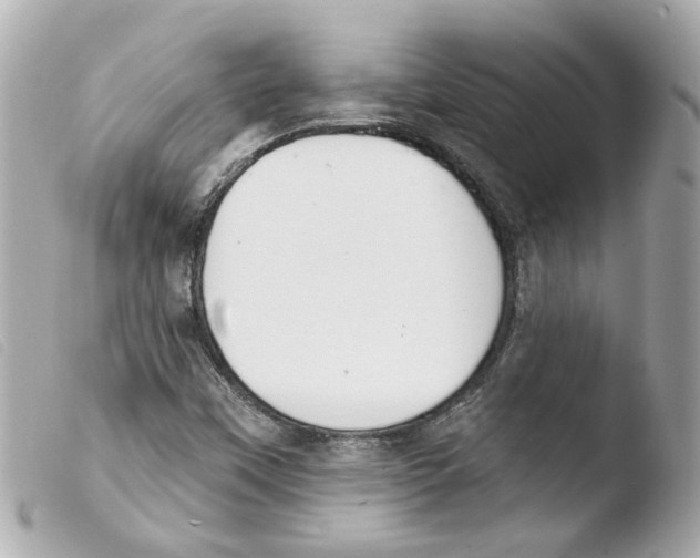 X0000103471451200810100924