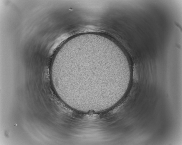 X0000103471453200810100924