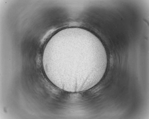 X0000103471454200810100924