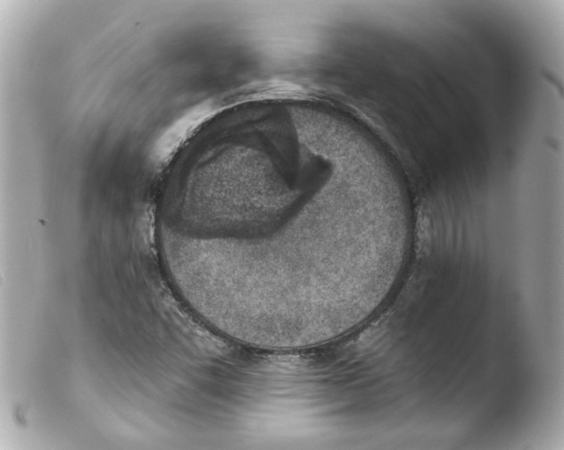 X0000103471455200810100924