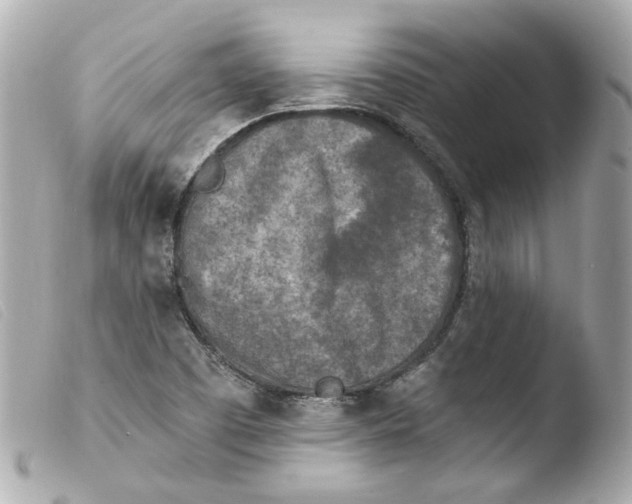 X0000103471457200810100924