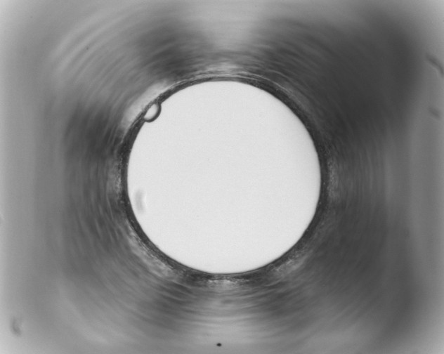 X0000103471458200810100924