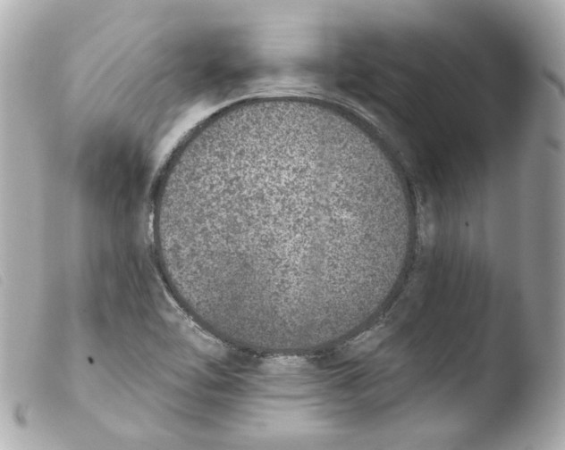 X0000103471462200810100924