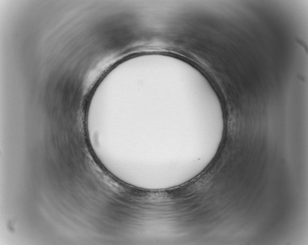 X0000103471464200810100924
